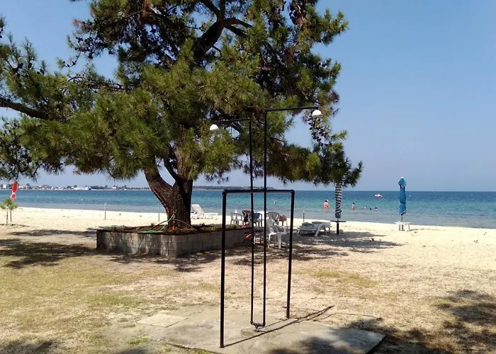 For Nature Lovers 2 Tatil parkı *